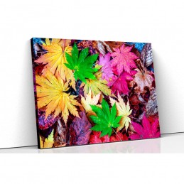 Tablou canvas frunze colorate